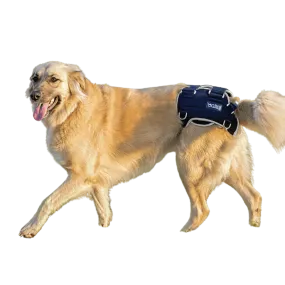 Balto® Life – Hip Dysplasia Brace